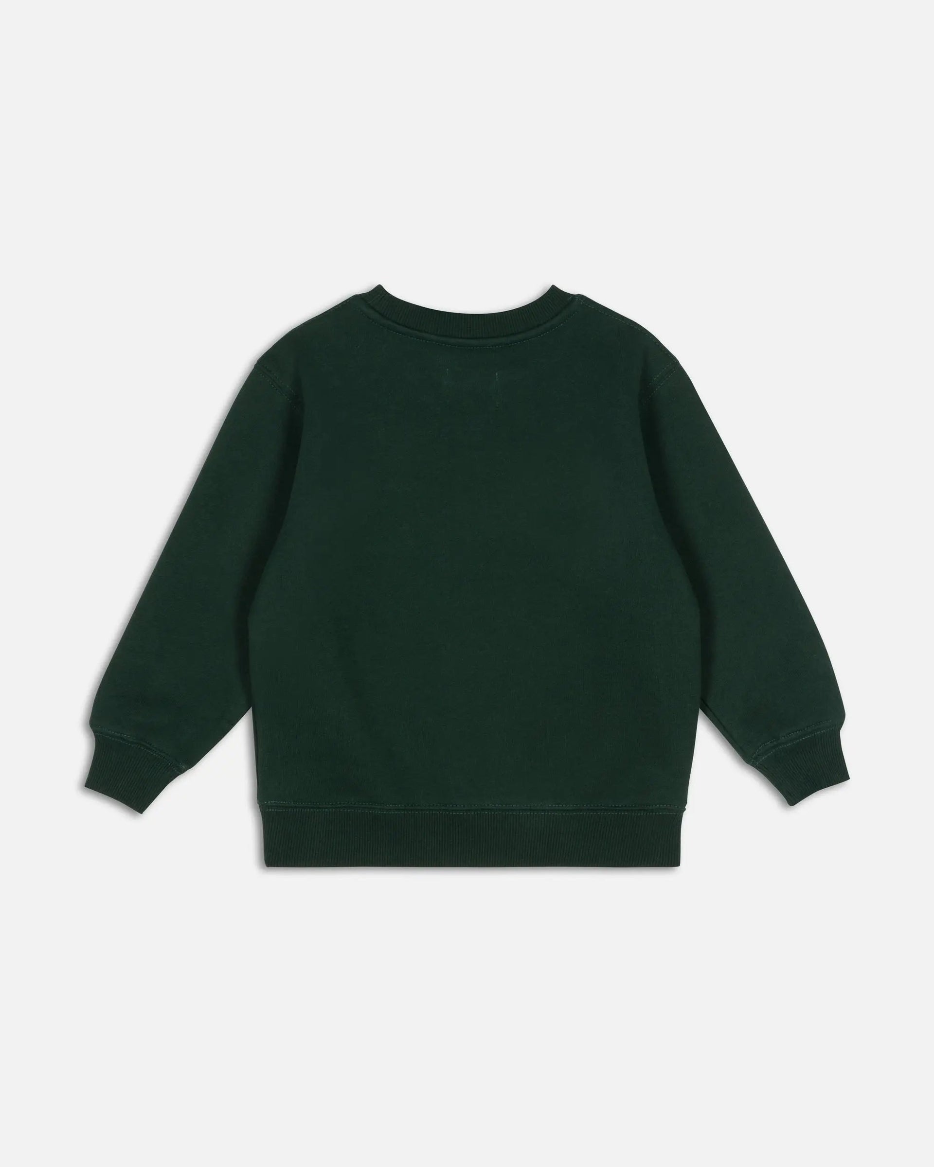 Patta Kids Arc Logo Crewneck Sweater (Pine Grove)